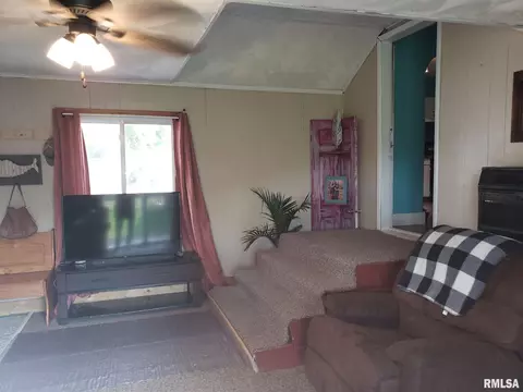 413 N 9th St, Cuba, IL 61427 photo 25