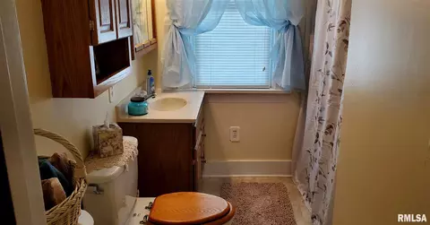 273 E Olive St, Canton, IL 61520 photo 18