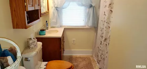 273 E Olive St, Canton, IL 61520 photo 19