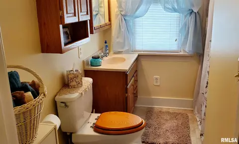 273 E Olive St, Canton, IL 61520 photo 17