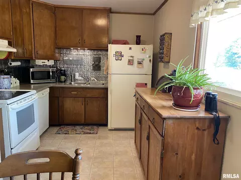 160 Stonegate Dr, Canton, IL 61520 photo 17