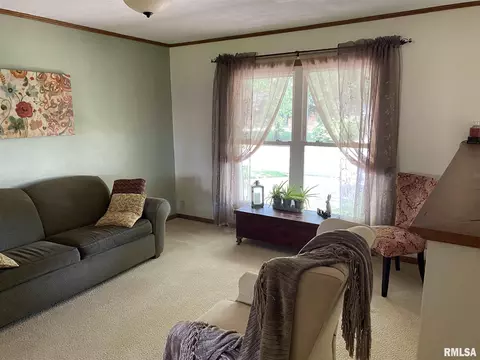 160 Stonegate Dr, Canton, IL 61520 photo 10