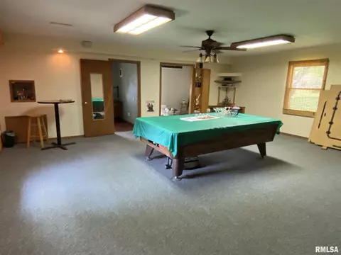 160 Stonegate Dr, Canton, IL 61520 photo 39