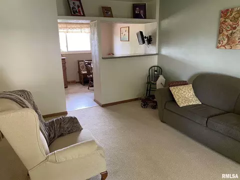 160 Stonegate Dr, Canton, IL 61520 photo 13