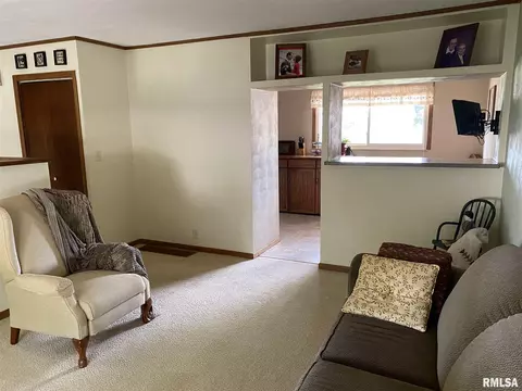 160 Stonegate Dr, Canton, IL 61520 photo 14