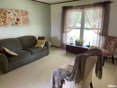 160 Stonegate Dr, Canton, IL 61520 photo 12