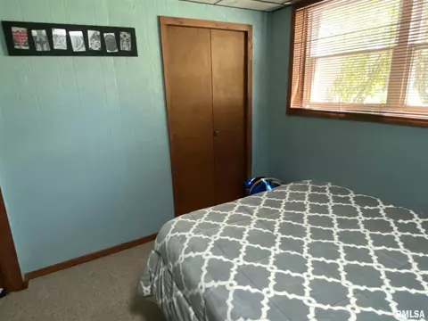 160 Stonegate Dr, Canton, IL 61520 photo 33
