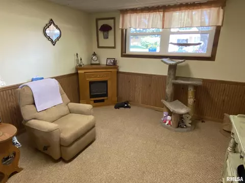 160 Stonegate Dr, Canton, IL 61520 photo 35