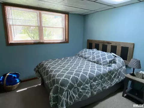 160 Stonegate Dr, Canton, IL 61520 photo 32