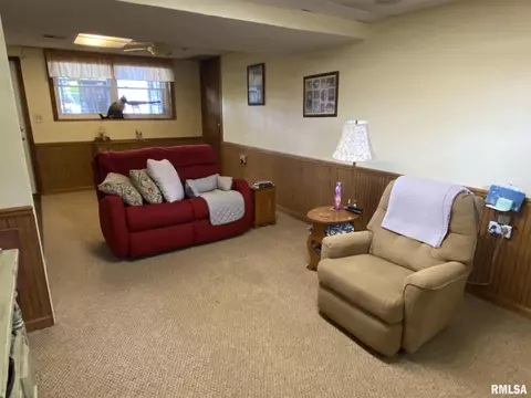 160 Stonegate Dr, Canton, IL 61520 photo 36