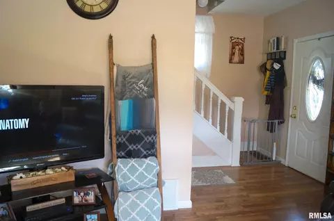 805 Custer Pl, Canton, IL 61520 photo 6
