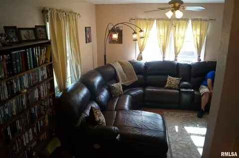 805 Custer Pl, Canton, IL 61520 photo 7