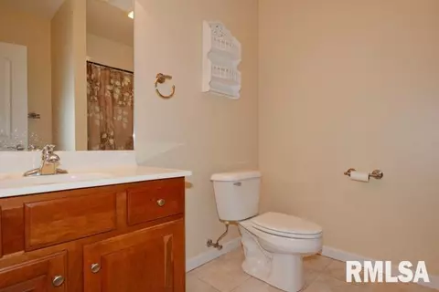 2310 W Pinnacle Dr, Dunlap, IL 61525 photo 24
