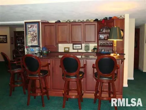 2310 W Pinnacle Dr, Dunlap, IL 61525 photo 31