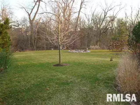 2310 W Pinnacle Dr, Dunlap, IL 61525 photo 33