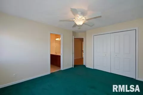 2310 W Pinnacle Dr, Dunlap, IL 61525 photo 20