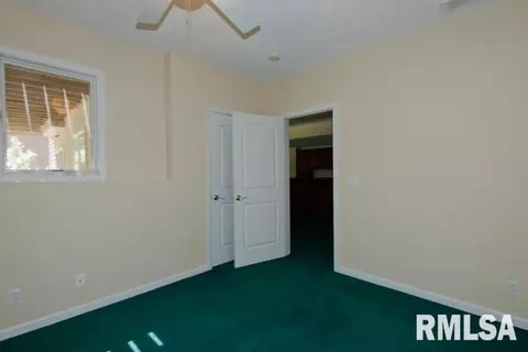 2310 W Pinnacle Dr, Dunlap, IL 61525 photo 23
