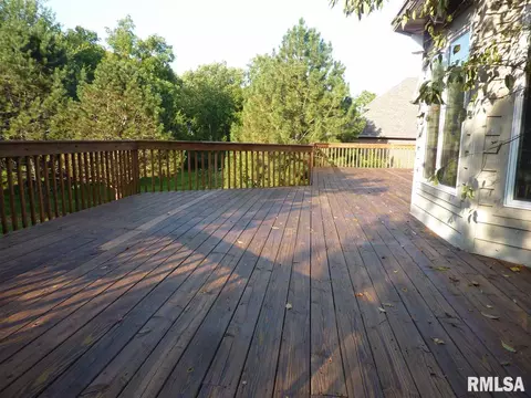 2310 W Pinnacle Dr, Dunlap, IL 61525 photo 32
