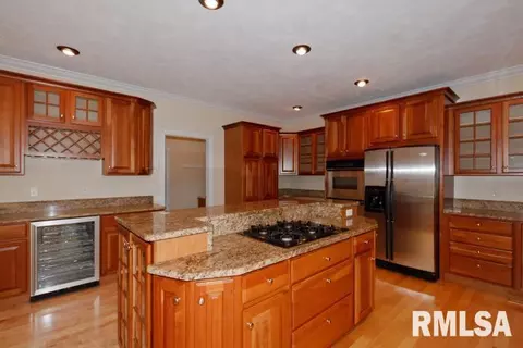 2310 W Pinnacle Dr, Dunlap, IL 61525 photo 8