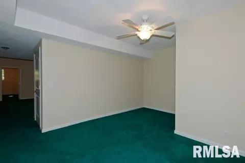 2310 W Pinnacle Dr, Dunlap, IL 61525 photo 25