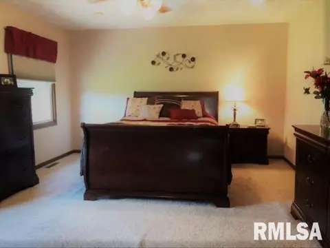 9621 W Buckingham Ct, Mapleton, IL 61547 photo 13