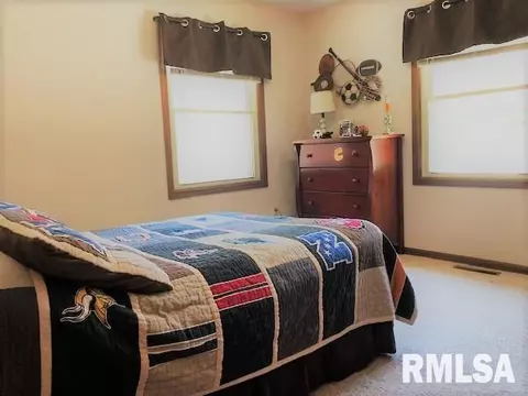 9621 W Buckingham Ct, Mapleton, IL 61547 photo 18