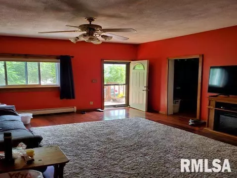 1190 Clark St, Lowpoint, IL 61545 photo 9