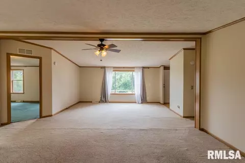 8250 Desutter Rd, Manito, IL 61546 photo 4