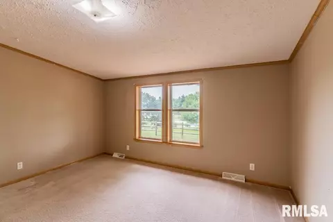 8250 Desutter Rd, Manito, IL 61546 photo 21