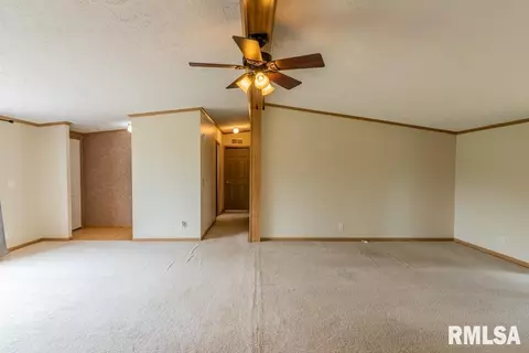 8250 Desutter Rd, Manito, IL 61546 photo 5