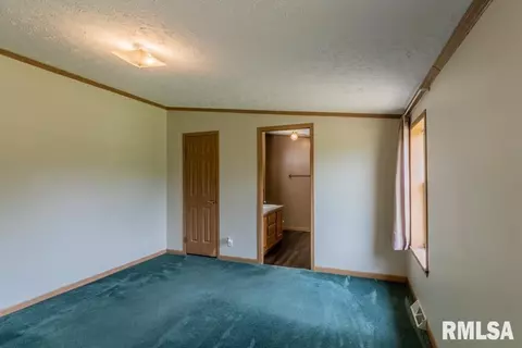 8250 Desutter Rd, Manito, IL 61546 photo 13