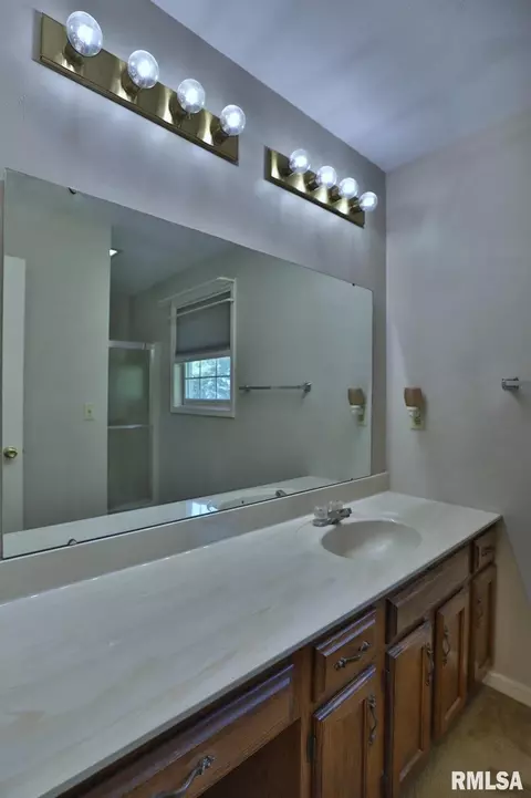 12516 N Cedar Bluff Dr, Dunlap, IL 61525 photo 46