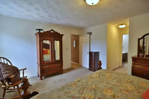12516 N Cedar Bluff Dr, Dunlap, IL 61525 photo 43