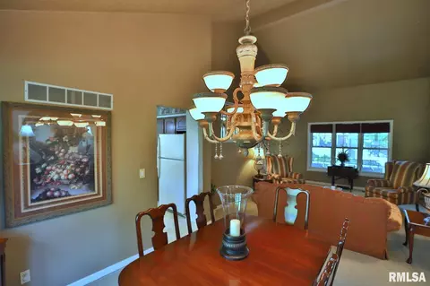 12516 N Cedar Bluff Dr, Dunlap, IL 61525 photo 19