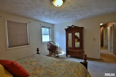 12516 N Cedar Bluff Dr, Dunlap, IL 61525 photo 44