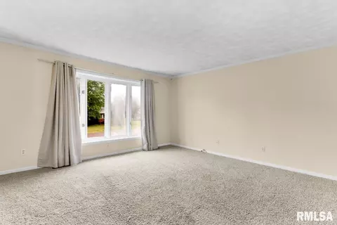 315 Arbor Vitae Dr, Germantown Hills, IL 61548 photo 5