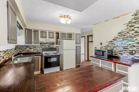 315 Arbor Vitae Dr, Germantown Hills, IL 61548 photo 13