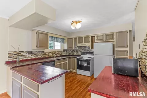 315 Arbor Vitae Dr, Germantown Hills, IL 61548 photo 12
