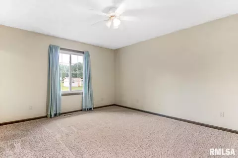315 Arbor Vitae Dr, Germantown Hills, IL 61548 photo 19