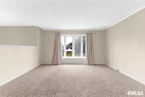 315 Arbor Vitae Dr, Germantown Hills, IL 61548 photo 9