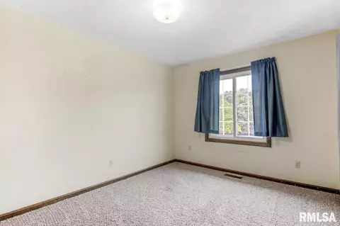 315 Arbor Vitae Dr, Germantown Hills, IL 61548 photo 24