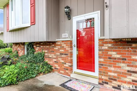 315 Arbor Vitae Dr, Germantown Hills, IL 61548 photo 3