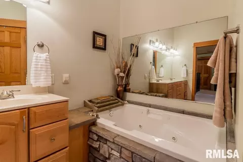 18599 N Apache Path, Danvers, IL 61732 photo 20