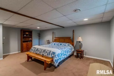 18599 N Apache Path, Danvers, IL 61732 photo 33