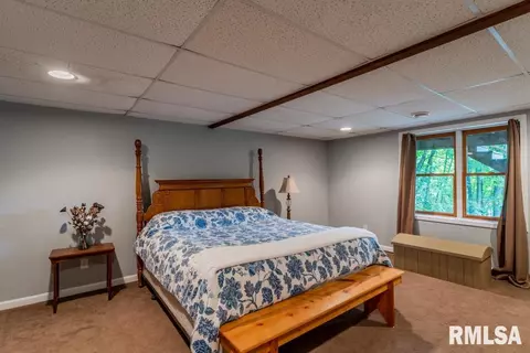 18599 N Apache Path, Danvers, IL 61732 photo 32