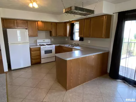 1597 E Myrtle St, Canton, IL 61520 photo 9