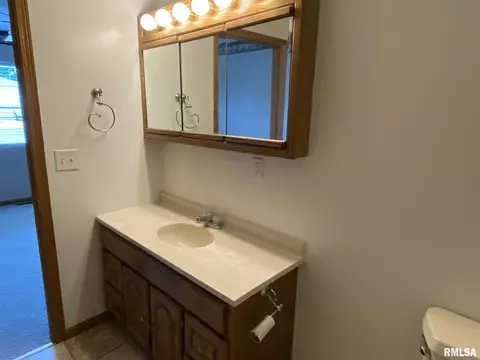1597 E Myrtle St, Canton, IL 61520 photo 20