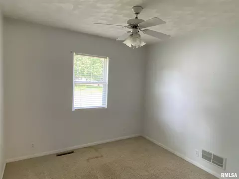 1597 E Myrtle St, Canton, IL 61520 photo 25