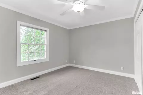 925 W Bennett Ct, Dunlap, IL 61525 photo 26