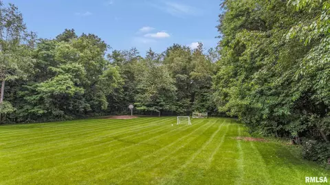 925 W Bennett Ct, Dunlap, IL 61525 photo 47